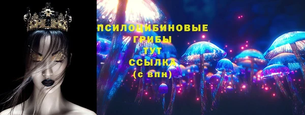 молекула духа Балахна