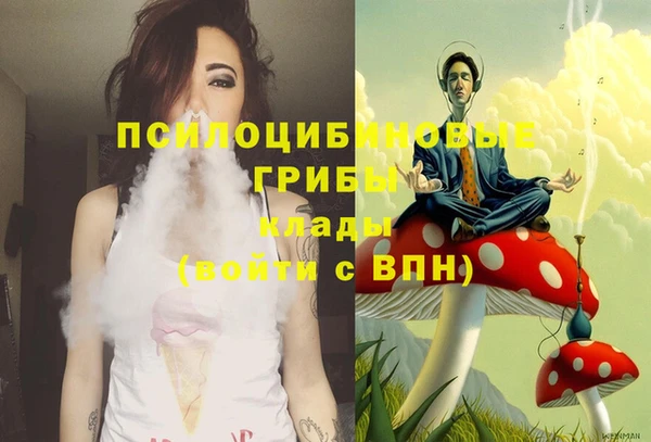 a pvp Арсеньев